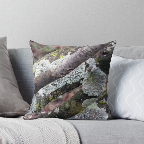 Item preview, Lichen in Spring designed and sold by MarjorieB.