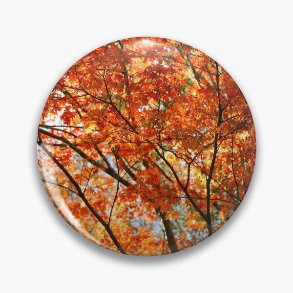 Artikelvorschau, Maple tree foliage entworfen und verkauft von Gaspar Avila.