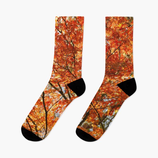 Item preview, Maple tree foliage designed and sold by Gaspar Avila.