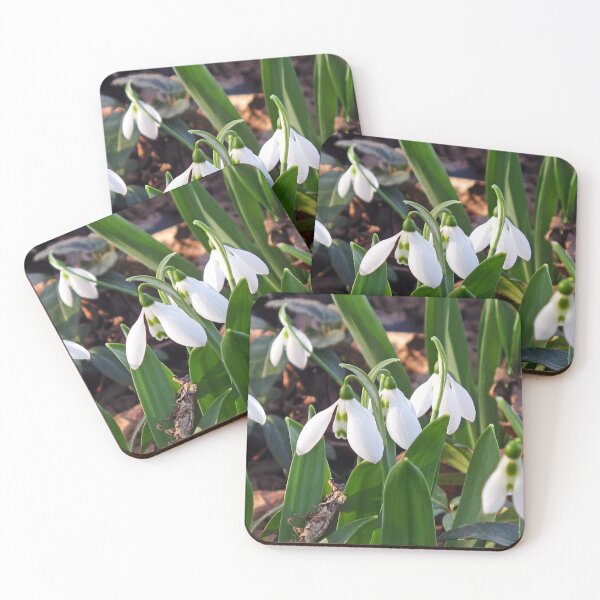 Item preview, First Snowdrops designed and sold by MarjorieB.