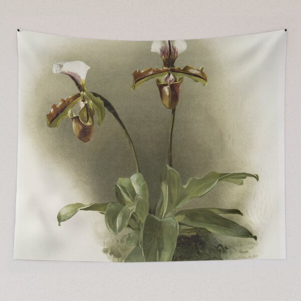 Item preview, Reichenbachia: Orchids Illustrated and Described designed and sold by EsotericBotanic.