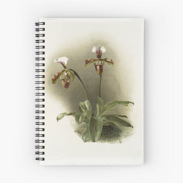 Item preview, Reichenbachia: Orchids Illustrated and Described designed and sold by EsotericBotanic.