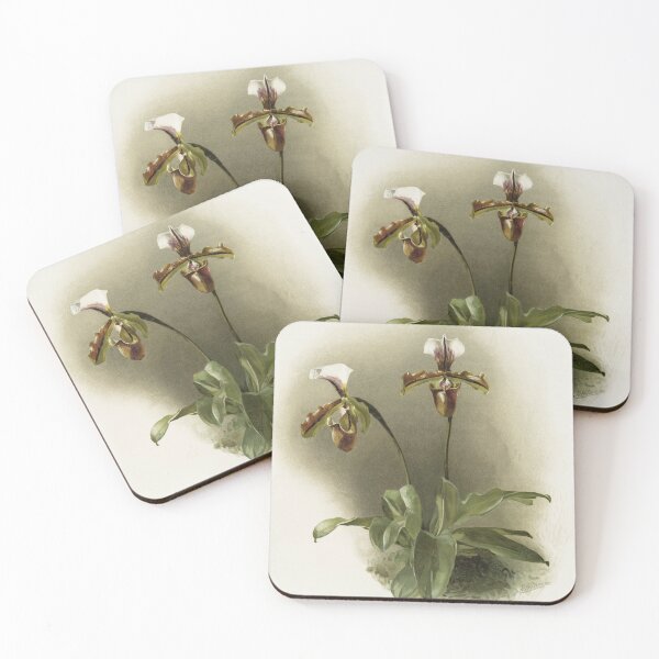 Item preview, Reichenbachia: Orchids Illustrated and Described designed and sold by EsotericBotanic.