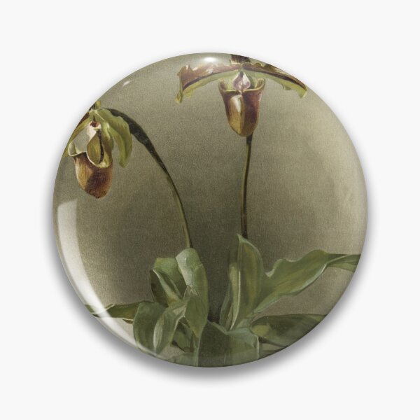 Item preview, Reichenbachia: Orchids Illustrated and Described designed and sold by EsotericBotanic.