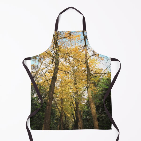 Item preview, Ginkgo biloba trees designed and sold by Gaspar Avila.
