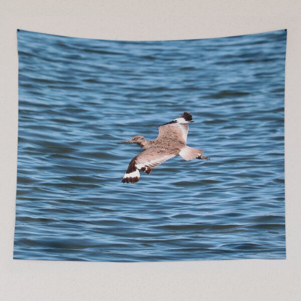 Item preview, Seabird in Flight designed and sold by KsbAesthetics.