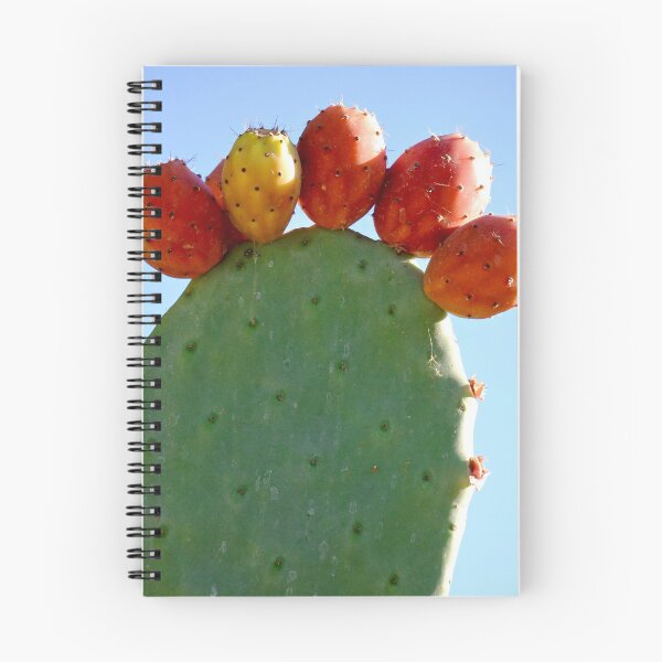 Item preview, Prickly Pear Cactus with Colorful Fruits designed and sold by KsbAesthetics.