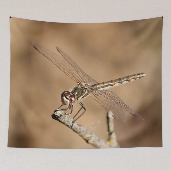 Item preview, A Curious Dragonfly  designed and sold by KsbAesthetics.