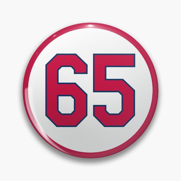 Item preview, Giovanny Gallegos #65 Jersey Number designed and sold by StickBall.