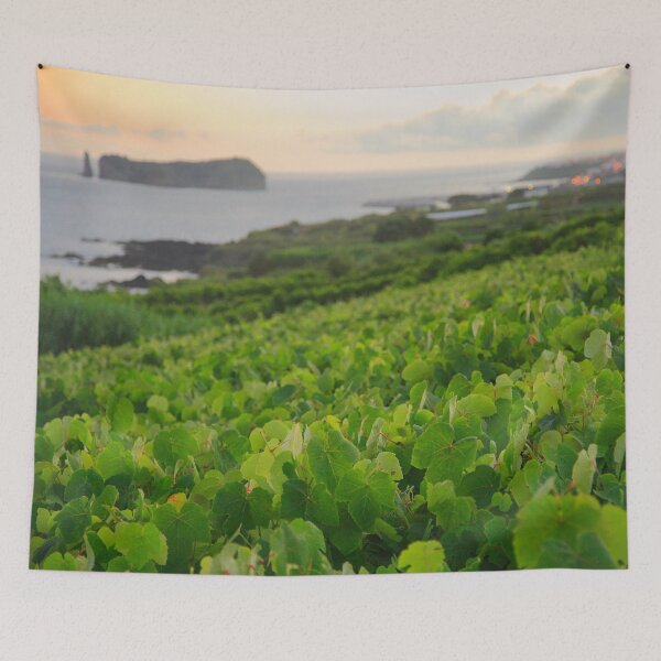 Item preview, Grapevines and islet designed and sold by Gaspar Avila.