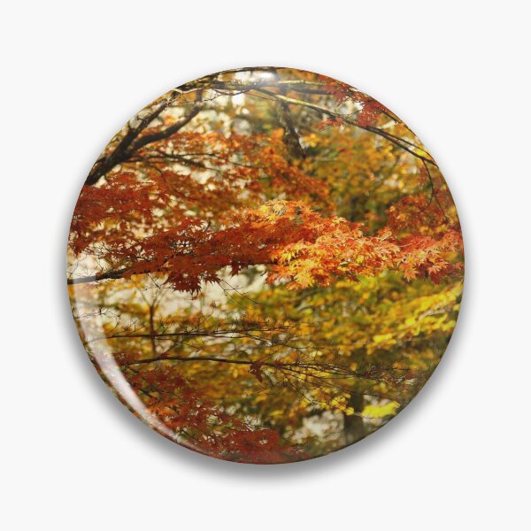 Artikelvorschau, Maple tree foliage in Autumn entworfen und verkauft von Gaspar Avila.