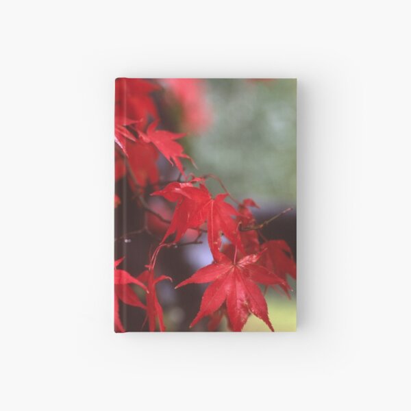 Autumn Acer Hardcover Journal