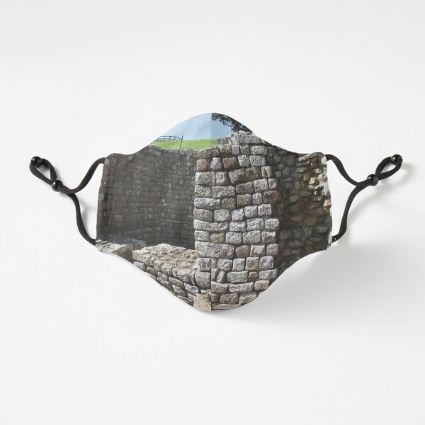 Merch #106 -- Architecture Alcoves (Hadrian's Wall) Fitted 3-Layer