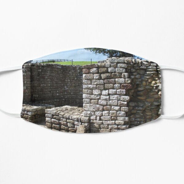Merch #106 -- Architecture Alcoves (Hadrian's Wall) Mask