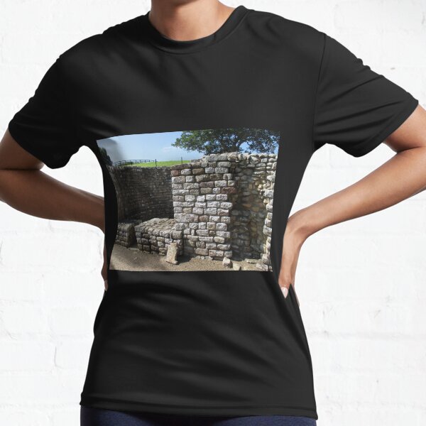 Merch #106 -- Architecture Alcoves (Hadrian's Wall) Active T-Shirt