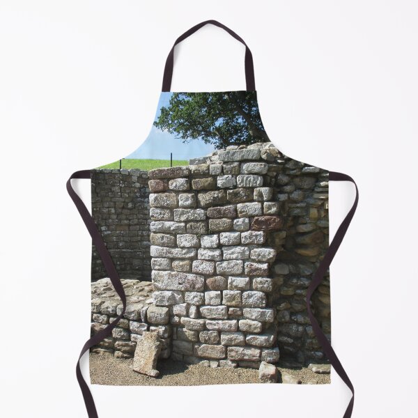 Merch #106 -- Architecture Alcoves (Hadrian's Wall) Apron