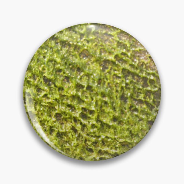 Item preview, Seaweed - Sri Lanka- East designed and sold by Hell-Prints.