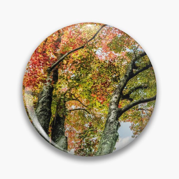 Item preview, Fall again designed and sold by LudaNayvelt.