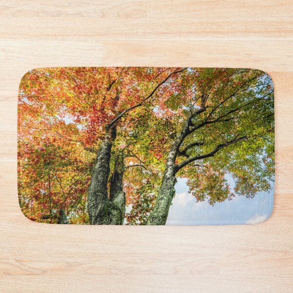 Item preview, Fall again designed and sold by LudaNayvelt.