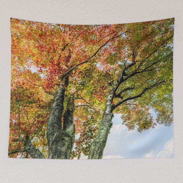 Item preview, Fall again designed and sold by LudaNayvelt.