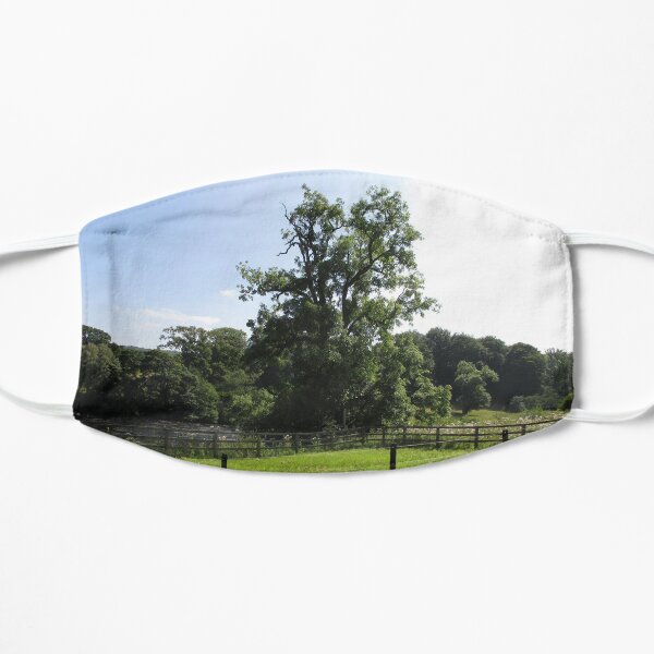 Merch #107 -- Tall Central Tree (Hadrian's Wall) Mask