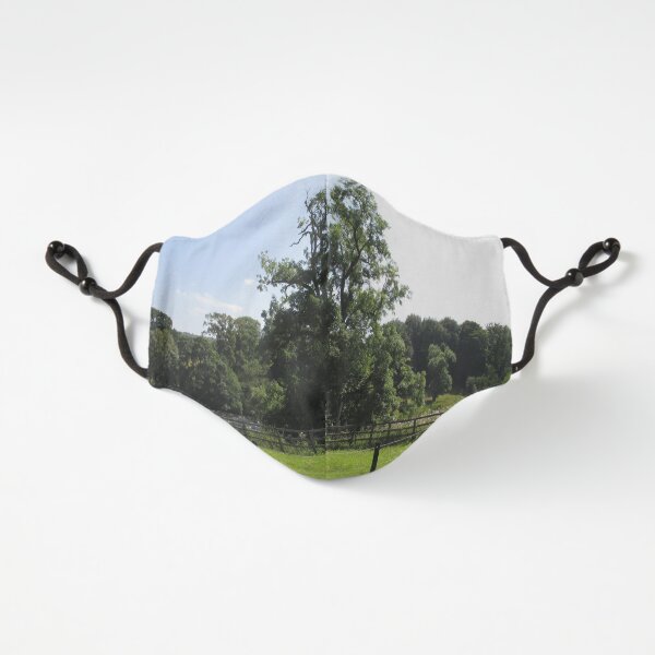 Merch #107 -- Tall Central Tree (Hadrian's Wall) Fitted 3-Layer