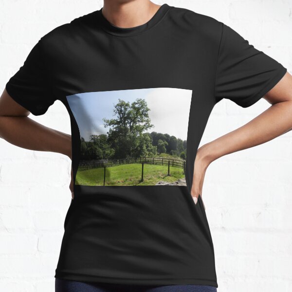 Merch #107 -- Tall Central Tree (Hadrian's Wall) Active T-Shirt