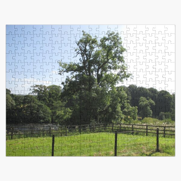 Merch #107 -- Tall Central Tree (Hadrian's Wall) Jigsaw Puzzle