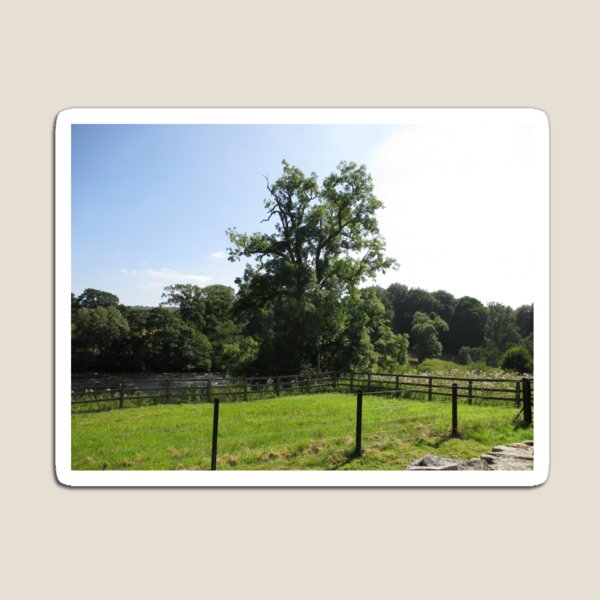 Merch #107 -- Tall Central Tree (Hadrian's Wall) Magnet