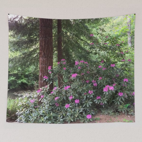 Item preview, Rhodie and Redwood designed and sold by bryanmcclelland.