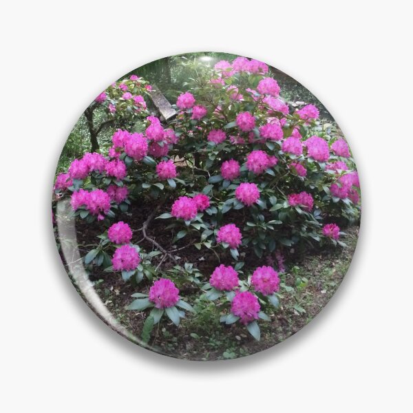 Artikelvorschau, Rhodie in voller Blüte entworfen und verkauft von bryanmcclelland.