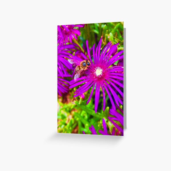 Bee Greeting Card