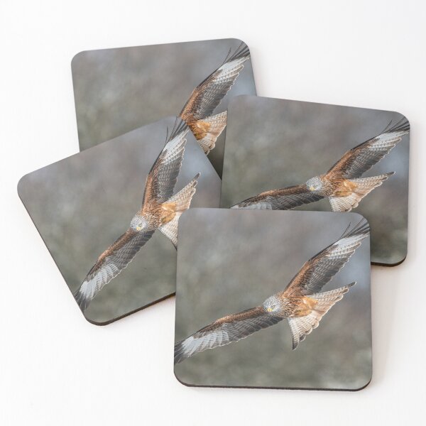 Item preview, Red Kite designed and sold by Steve Liptrot Photography.