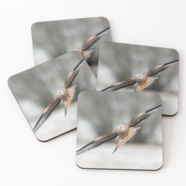 Item preview, Red Kite designed and sold by Steve Liptrot Photography.