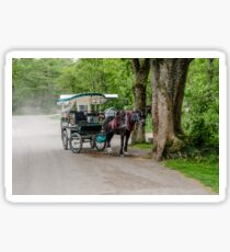 Kerry Scene Sticker