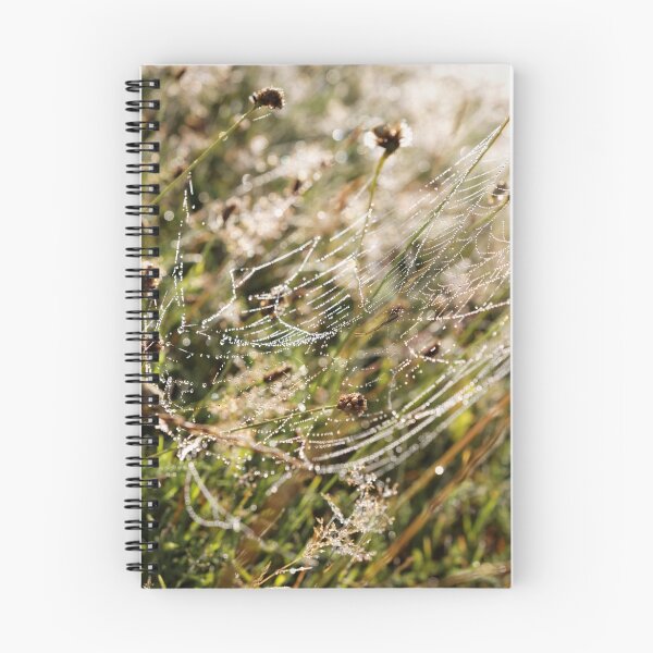 Item preview, Spider web designed and sold by Claraveritas.