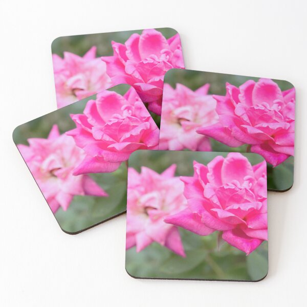 Item preview, Knockout Rose designed and sold by AliCatOriginals.