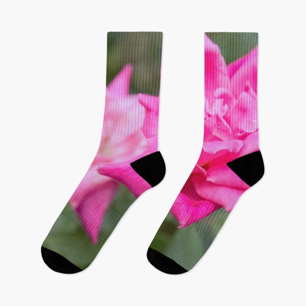 Item preview, Knockout Rose designed and sold by AliCatOriginals.