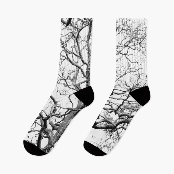 Item preview, Tree branches designed and sold by Gaspar Avila.