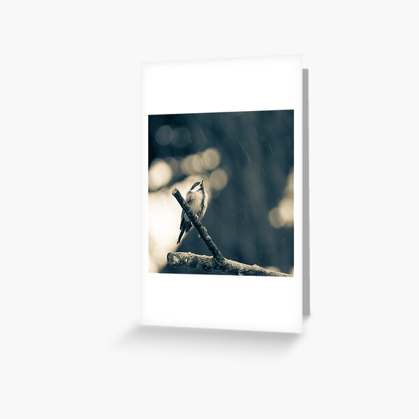 Rain Again Greeting Card