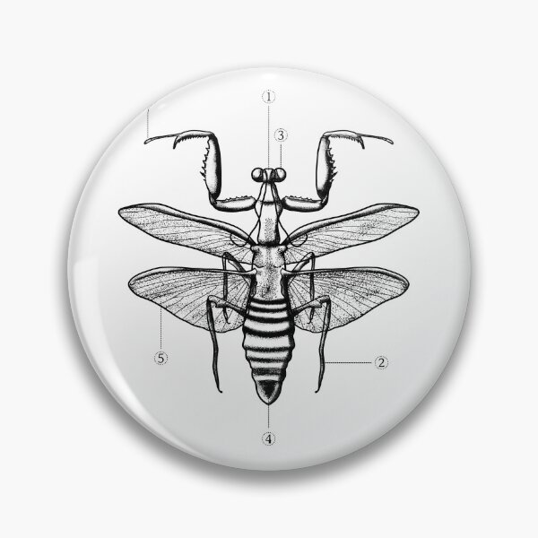 Item preview, Praying Mantis designed and sold by shirtdan.