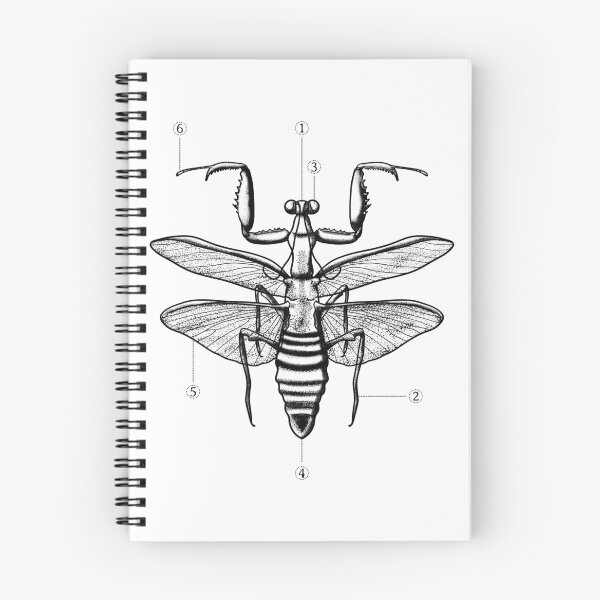 Item preview, Praying Mantis designed and sold by shirtdan.