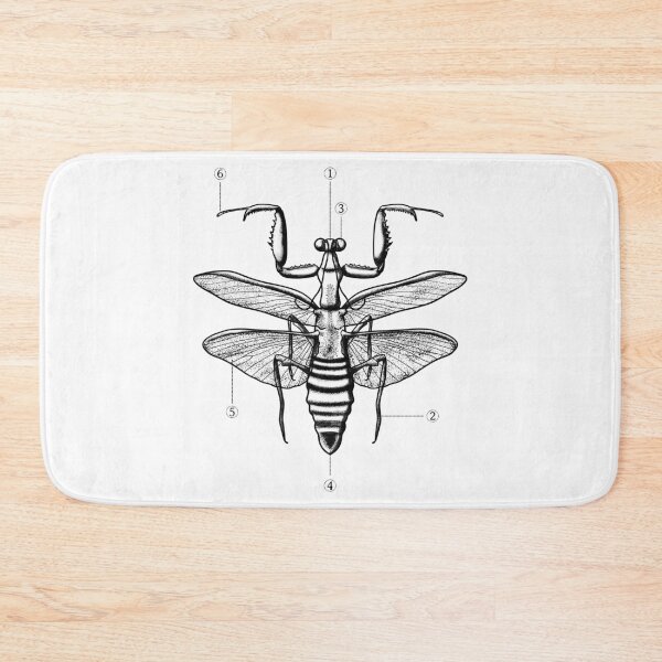 Item preview, Praying Mantis designed and sold by shirtdan.