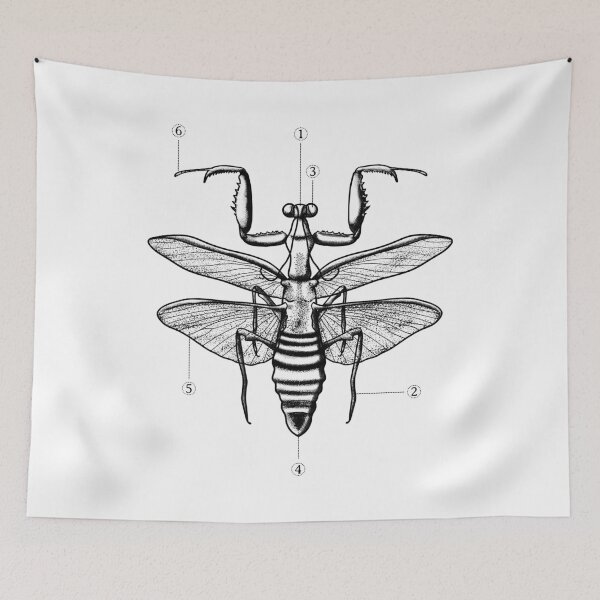 Item preview, Praying Mantis designed and sold by shirtdan.