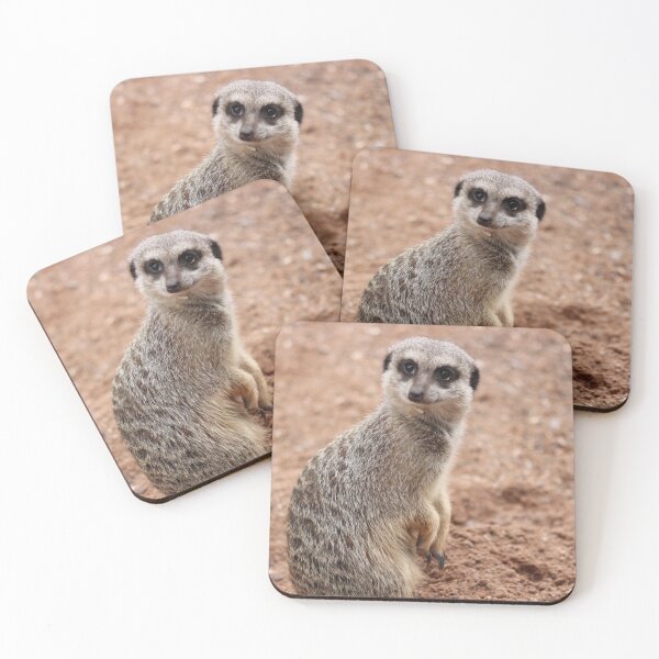 Item preview, Super cute meerkat posing designed and sold by Gaynor-dI.