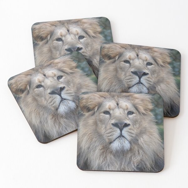 Item preview, Male lion keeping watch designed and sold by Gaynor-dI.