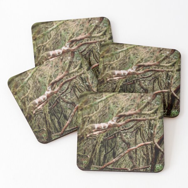 Item preview, Forest magic designed and sold by AtlanticSun.