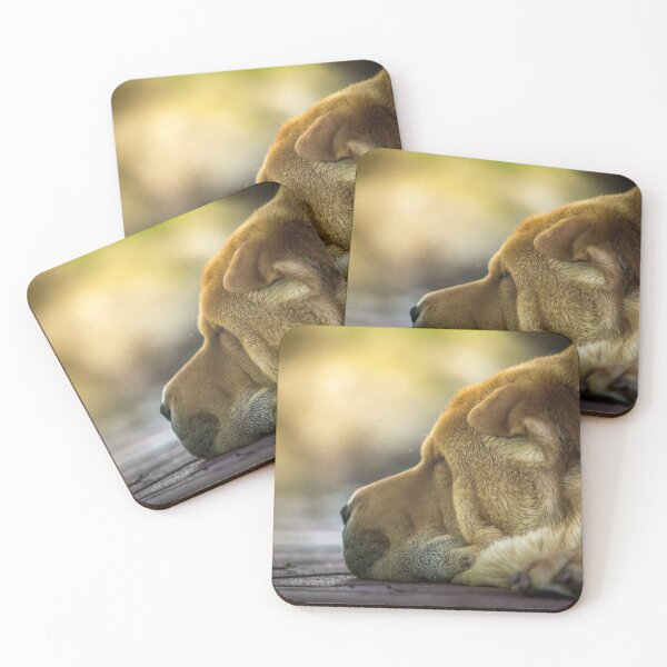 Item preview, Dog sleeping on the terrace designed and sold by Tamas KLAUSZ.
