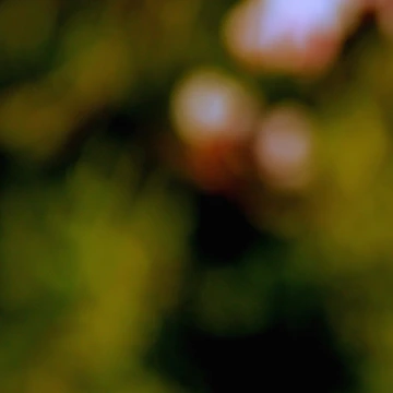 Artwork thumbnail, Spring by Deborah Milligan