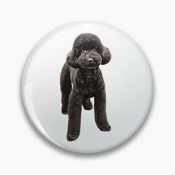 Square toy cheap poodle